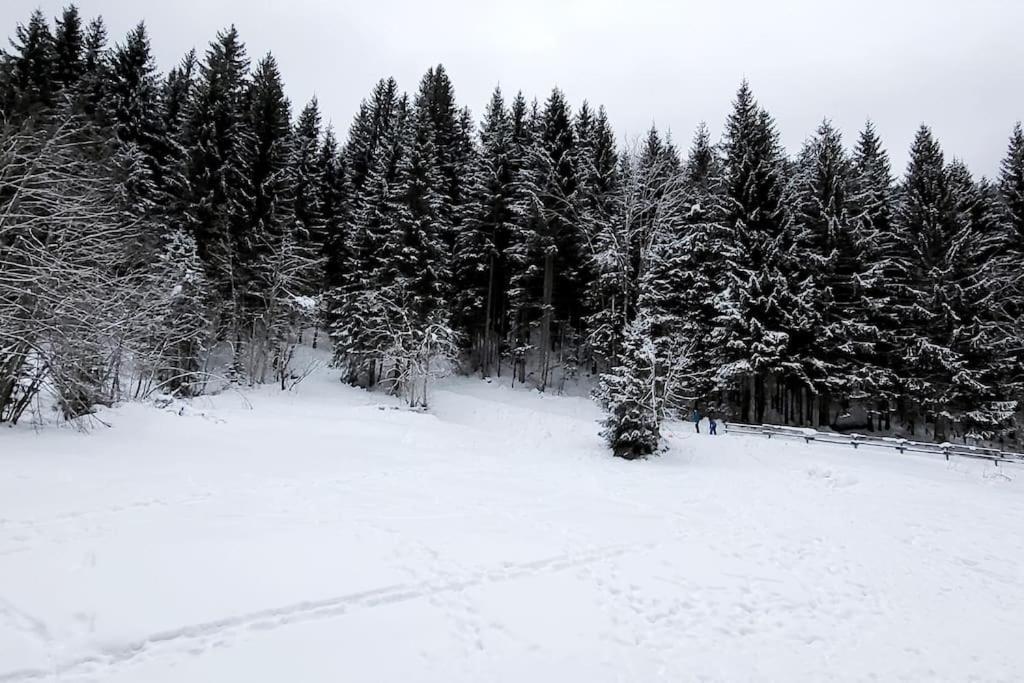 Cocon A Châtel Kültér fotó